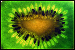 kiwi3