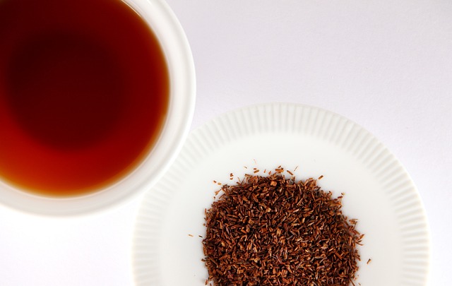 Rooibos tea herb and cup